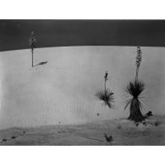 New Mexico, 1941 8