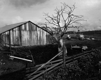 Edward Weston Black and White Photograph – Corral, Pismo Beach