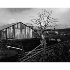 Corral, Pismo Beach 12