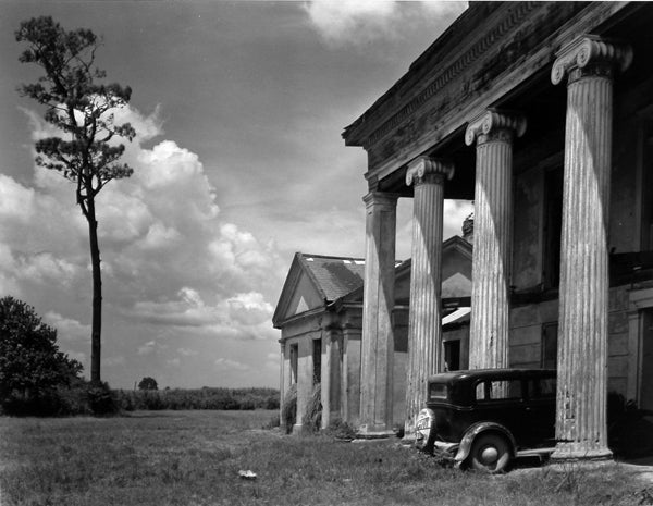 Edward Weston Landscape Photograph - Woodlawn Plantation, Louisiana, 1941