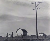 Untitled, Barn and Telephone Poles 10