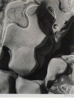Eroded Rock, Point Lobos 7