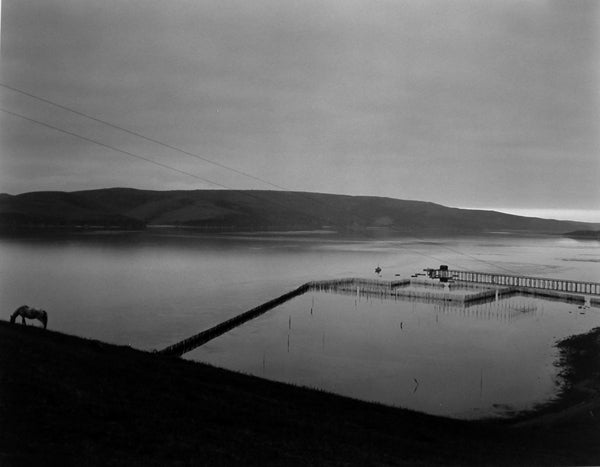 Tomales Bay, 1937 - Photograph by Edward Weston