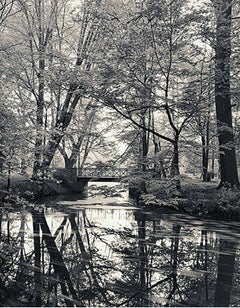 Bridge in Spring