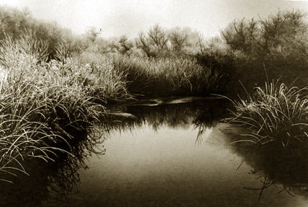 Roman Loranc Black and White Photograph - Frosted Slough