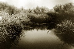 Frosted Slough