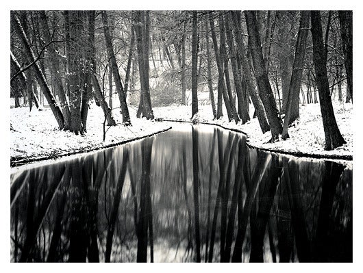 Black and White Photograph di Roman Loranc - Riflessioni d'inverno