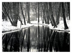 Winter Reflections