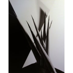 Agave Design I 2