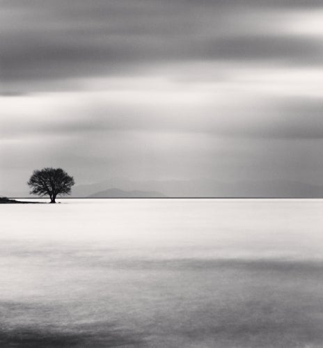 Michael Kenna Landscape Photograph - Biwa Lake Tree, Study 5, Omi, Honshu, Japan 2007