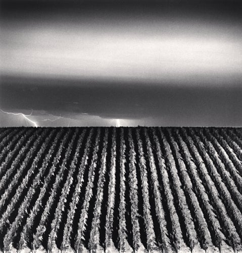 Michael Kenna Abstract Photograph - Chateau Lafite, Study 6, Bordeaux, France, 2012