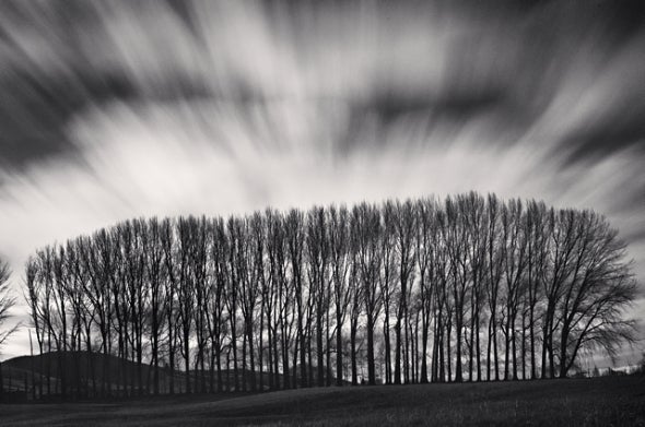 Michael Kenna Landscape Photograph - Copse and Clouds, Omakau, Otago, New Zealand, 2013