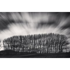 Copse and Clouds, Omakau, Otago, New Zealand, 2013 8