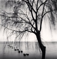 Erhai Lake, Study 3, Dali, Yunnan, China, 2013 10