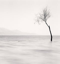 Der See, Studie 5, Yunnan, China, 2013