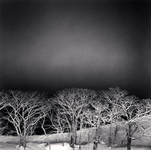 Michael Kenna Black and White Photograph - Kussharo Lake Tree, Study 8, Hokkaido, Japan, 2009