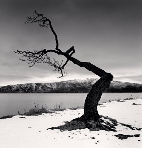 Michael Kenna Black and White Photograph - Kussharo Lake Tree, Study 12, Kotan, Hokkaido, Japan, 2008