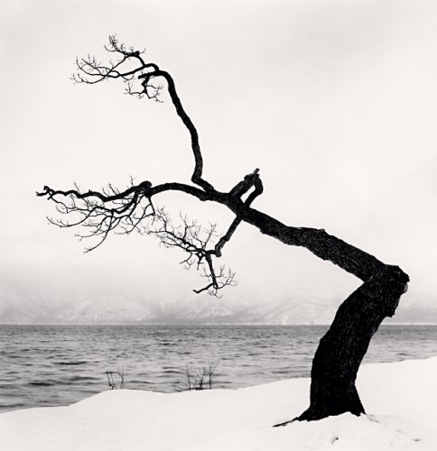 Michael Kenna Black and White Photograph - Kussharo Lake Tree, Study 15, Kotan, Hokkaido, Japan, 2009