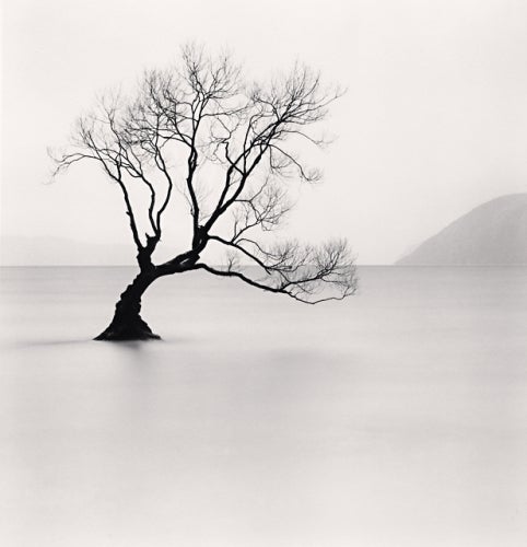 Michael Kenna Black and White Photograph - Wanaka Lake Tree, Study 1, Otago, New Zealand, 2013