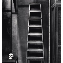 Skull and Ladder, Odeon Theatre, Paris, France, 2011 1
