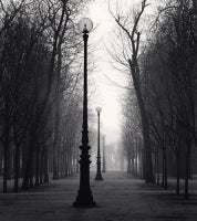 Tuileries Gardens, Study 4, Paris, France, 1987 6