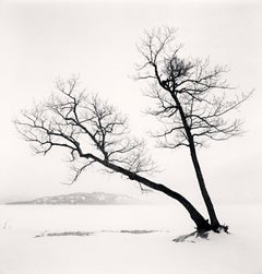 Due alberi pendenti, lago Kussharo, Hokkaido, Giappone, 2013