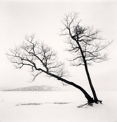 Two Leaning Trees, Kussharo Lake, Hokkaido, Japan, 2013