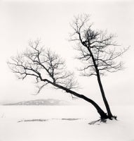 Two Leaning Trees, Kussharo Lake, Hokkaido, Japan, 2013 5