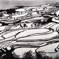 Yuanyang, Study 2, Yunnan, China, 2013