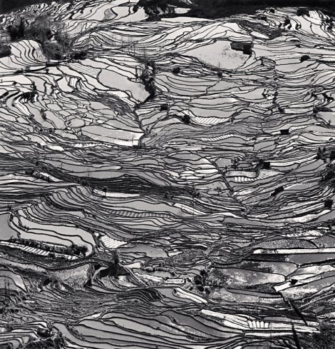 Abstract Photograph di Michael Kenna - Yuanyang, Studio 5, Yunnan, Cina, 2013