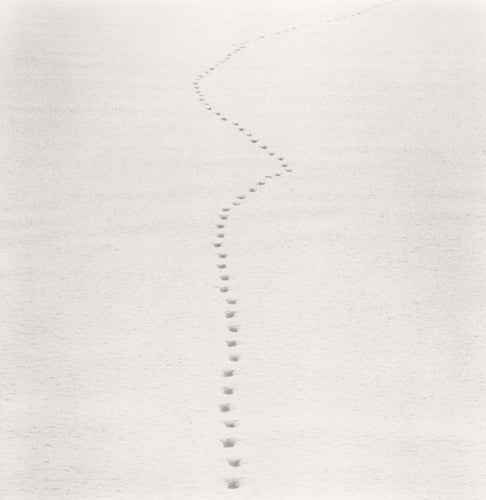 Michael Kenna Black and White Photograph - Tracks in Snow, Biei, Hokkaido, Japan, 2013