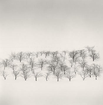 Michael Kenna Black and White Photograph - Sixty Trees, Nakafurano, Hokkaido, Japan, 2004
