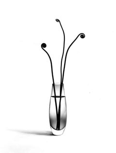 Used Fern in Glass Vase, 2002