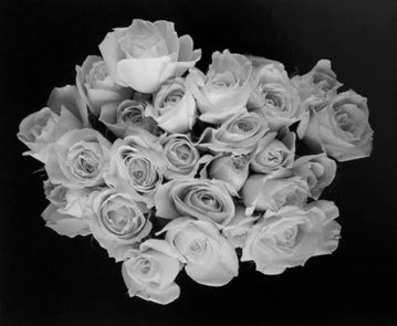 Rod Dresser Still-Life Photograph - Large Rose Buds, Carmel, CA 2001