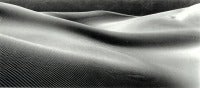 Sensual Dune, Death Valley National Monument