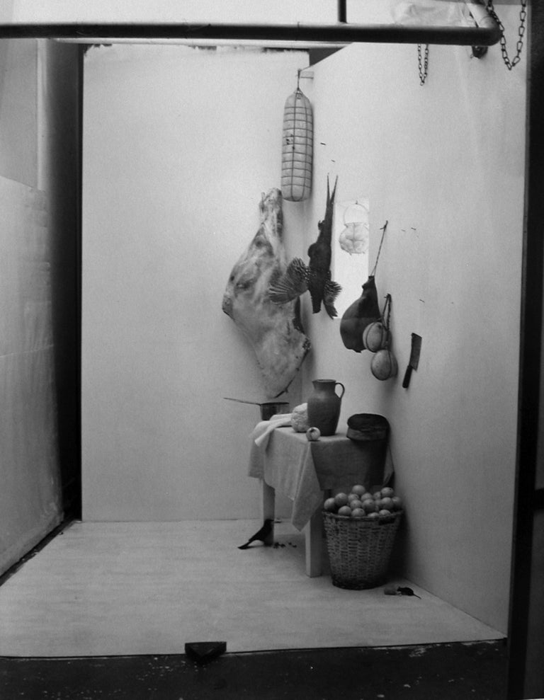 Irving Penn Still Life with Mouse, New York For Sale at 1stDibs