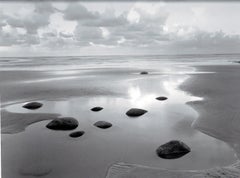 Afternoon, Tasman Sea