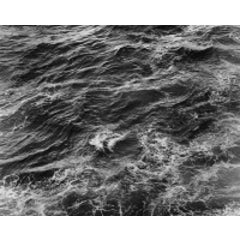 Surf 2010 2