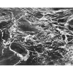 Surf 2185 1