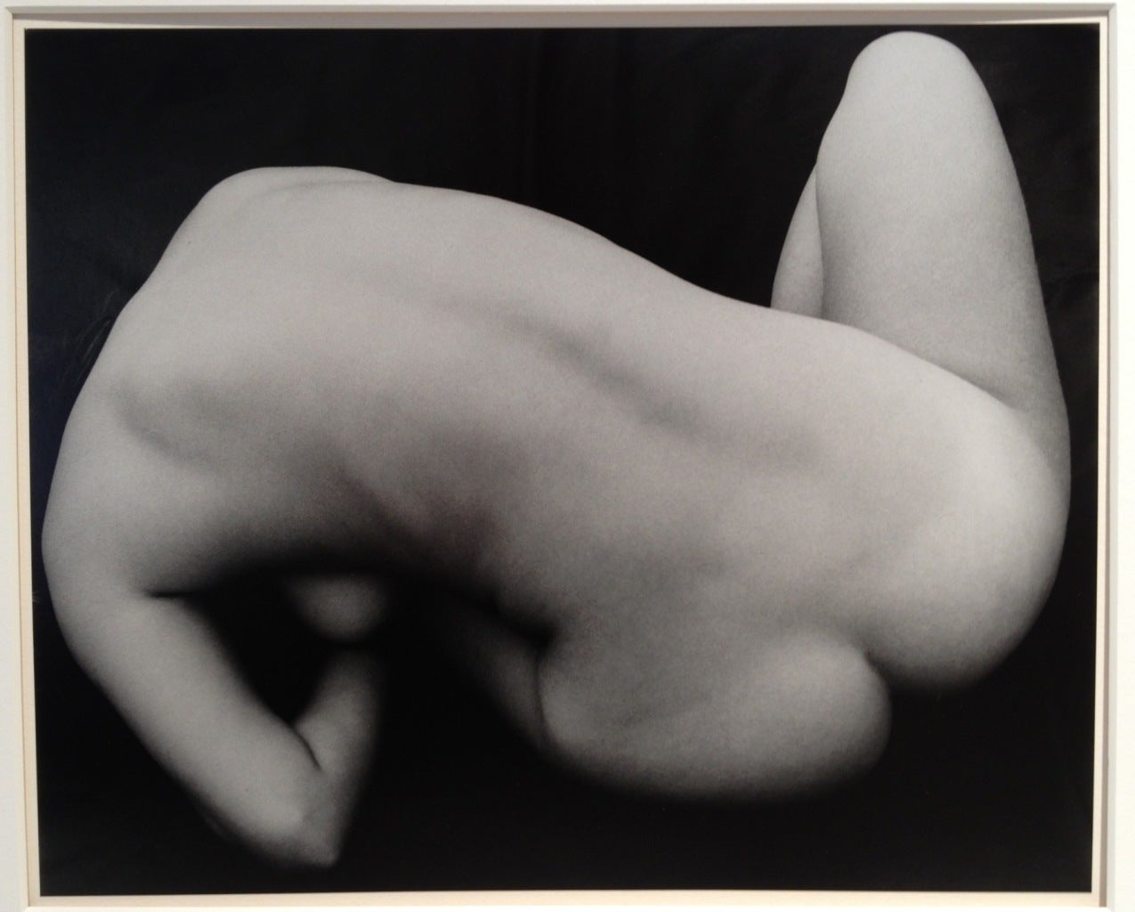 Nude - Photograph by Brett Weston