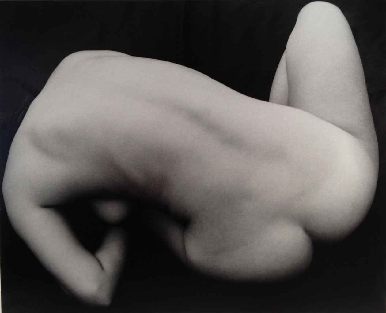 Brett Weston Black and White Photograph - Nude