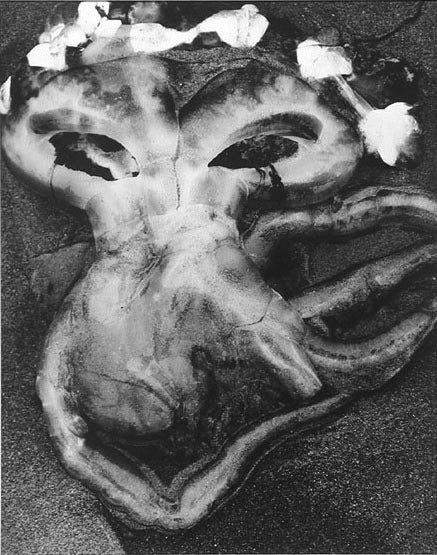 Brett Weston Black and White Photograph – Jelly-Fisch
