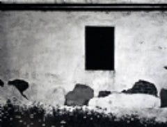 Erbacce e muro, 1972