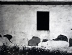 Weeds and Wall, 1972