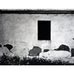 Weeds and Wall, 1972 5