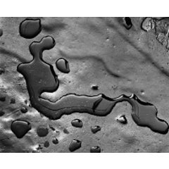 Water Drops, 1976 7