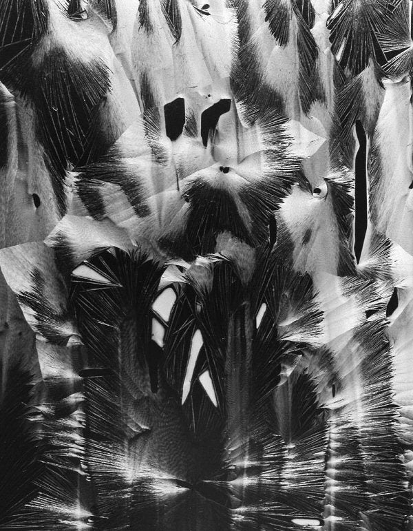 Brett Weston Black and White Photograph - Cracked Paint, Garrapata