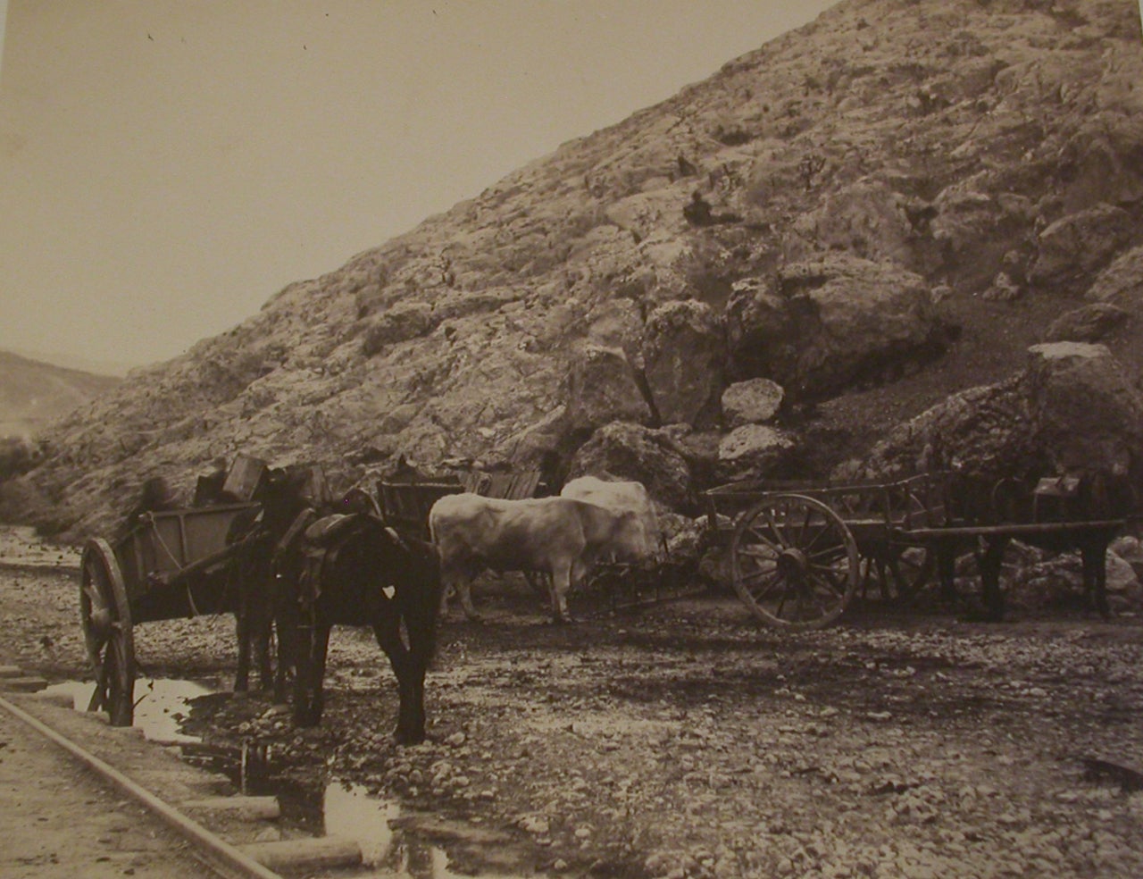 Roger Fenton Black and White Photograph – Tier- und Rollwagen, Balaklava aus Leder