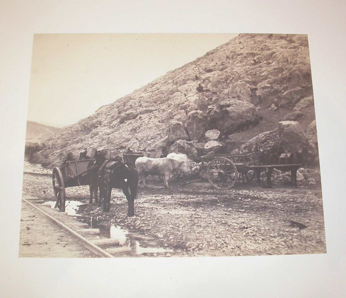 Tier- und Rollwagen, Balaklava aus Leder – Photograph von Roger Fenton