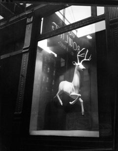 Vintage Designer's Window, Bleecker Street